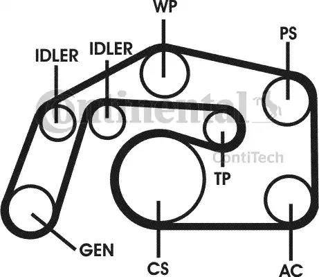 Continental 6PK2460D1 - Поликлиновый ременный комплект unicars.by