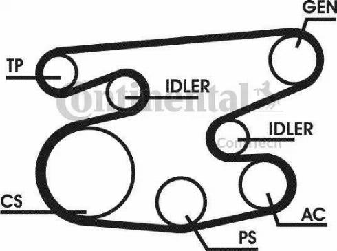 Continental 6PK2215D1 - Поликлиновый ременный комплект unicars.by