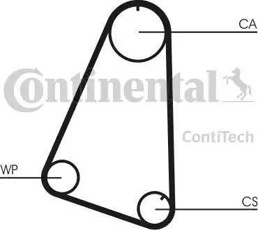 Continental CT504WP1 - Комплект зубчатого ремня ГРМ unicars.by