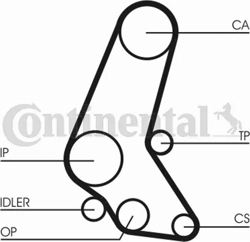 Contitech CT748K5 - --- unicars.by