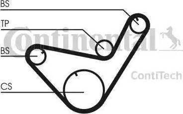 Continental CT714 - Зубчатый ремень ГРМ unicars.by