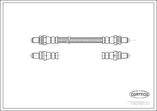 Corteco 19018737 - Тормозной шланг unicars.by