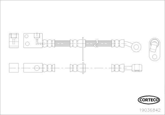 Corteco 19036842 - Тормозной шланг unicars.by