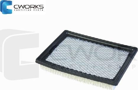 Cworks G2422N30P00 - Воздушный фильтр, двигатель unicars.by