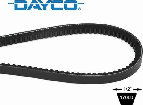 Dayco 17730 - Клиновой ремень, поперечные рёбра unicars.by