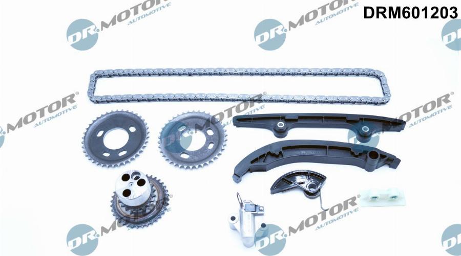 Dr.Motor Automotive DRM601203 - Комплект цепи привода распредвала unicars.by