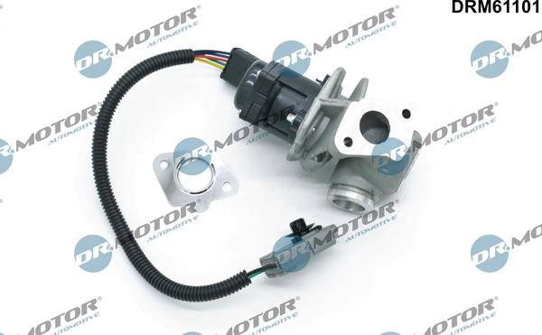 Dr.Motor Automotive DRM61101 - Клапан возврата ОГ unicars.by