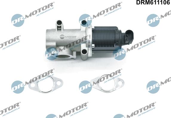 Dr.Motor Automotive DRM611106 - Клапан возврата ОГ unicars.by