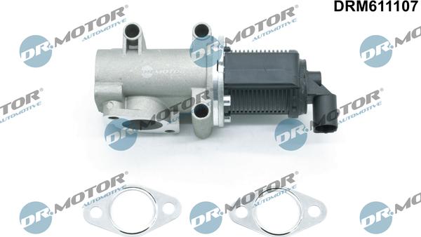 Dr.Motor Automotive DRM611107 - Клапан возврата ОГ unicars.by