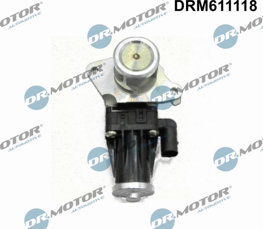 Dr.Motor Automotive DRM611118 - Клапан возврата ОГ unicars.by