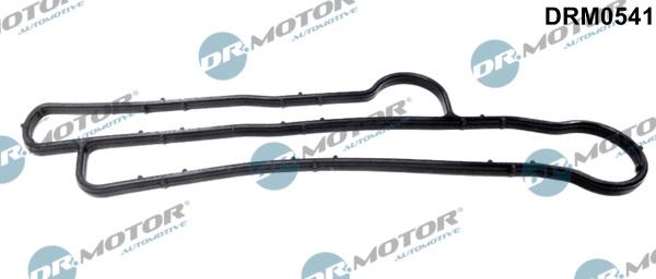 Dr.Motor Automotive DRM0541 - Прокладка, масляный радиатор unicars.by