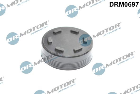 Dr.Motor Automotive DRM0697 - Крышка, распределительный вал unicars.by