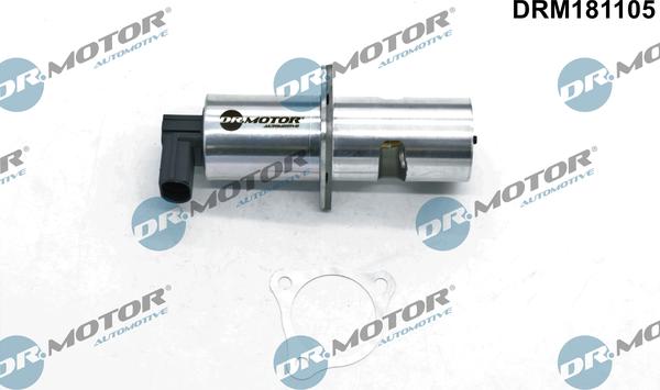 Dr.Motor Automotive DRM181105 - Клапан возврата ОГ unicars.by