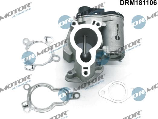 Dr.Motor Automotive DRM181106 - Клапан возврата ОГ unicars.by