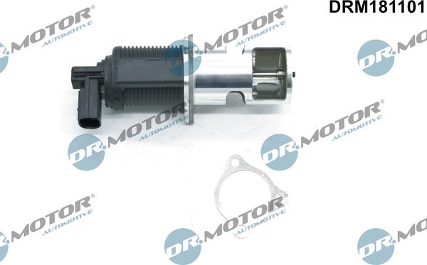 Dr.Motor Automotive DRM181101 - Клапан возврата ОГ unicars.by