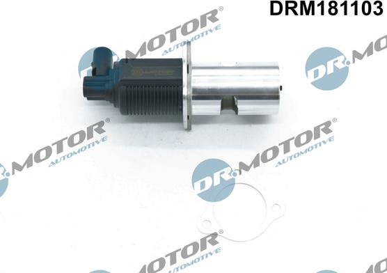 Dr.Motor Automotive DRM181103 - Клапан возврата ОГ unicars.by