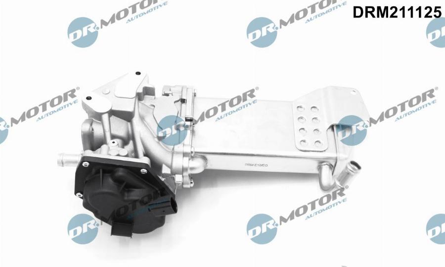 Dr.Motor Automotive DRM211125 - Клапан возврата ОГ unicars.by