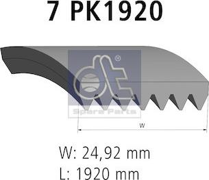 DT Spare Parts 6.31552 - Поликлиновой ремень unicars.by