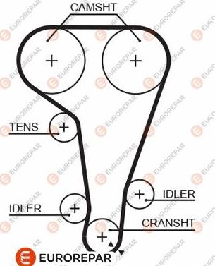 EUROREPAR 1633140280 - Зубчатый ремень ГРМ unicars.by