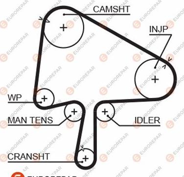 EUROREPAR 1633141780 - Зубчатый ремень ГРМ unicars.by
