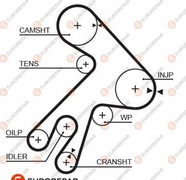 EUROREPAR 1633134980 - Зубчатый ремень ГРМ unicars.by