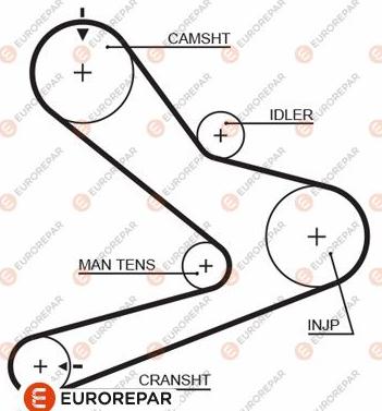EUROREPAR 1633134880 - Зубчатый ремень ГРМ unicars.by