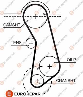 EUROREPAR 1633136980 - Зубчатый ремень ГРМ unicars.by