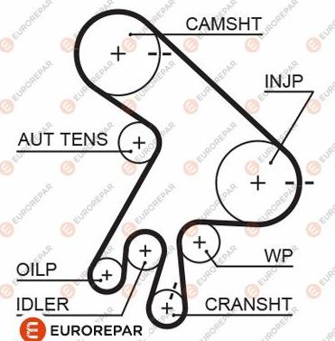 EUROREPAR 1633130280 - Зубчатый ремень ГРМ unicars.by