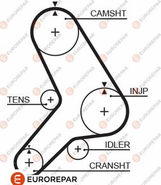 EUROREPAR 1633138880 - Зубчатый ремень ГРМ unicars.by
