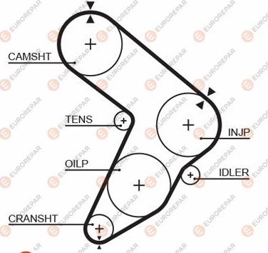 EUROREPAR 1633137880 - Зубчатый ремень ГРМ unicars.by