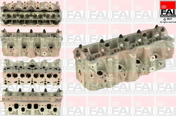 FAI AutoParts BCH050 - Головка цилиндра unicars.by