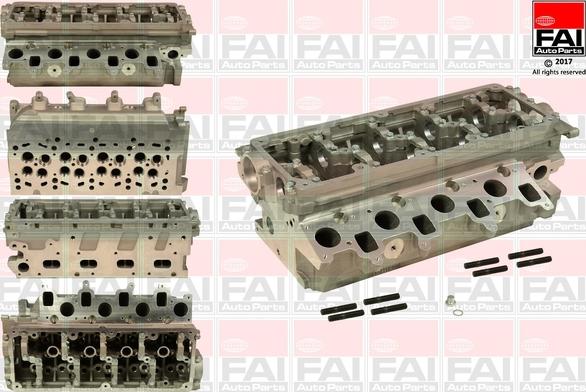 FAI AutoParts BCH029 - Головка цилиндра unicars.by