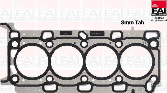 FAI AutoParts HG1450 - Прокладка, головка цилиндра unicars.by