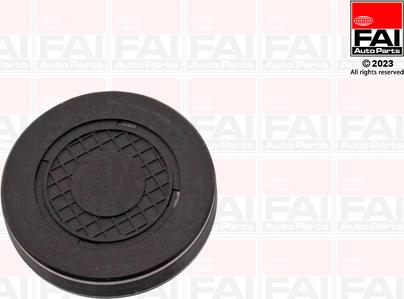 FAI AutoParts RMG880B - Заглушка, ось коромысла-монтажное отверстие unicars.by