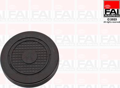 FAI AutoParts RMG880C - Заглушка, ось коромысла-монтажное отверстие unicars.by