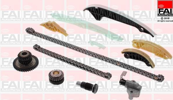 FAI AutoParts TCK306NG - Комплект цепи привода распредвала unicars.by