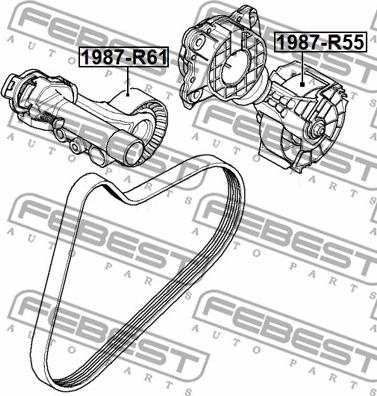 Febest 1987-R55 - Ролик, поликлиновый ремень unicars.by