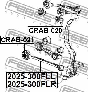 Febest 2025-300FLR - Рычаг подвески колеса unicars.by