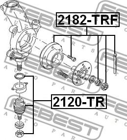 Febest 2120-TR - Шаровая опора, несущий / направляющий шарнир unicars.by