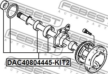 Febest DAC40804445-KIT2 - Комплект подшипника ступицы колеса unicars.by