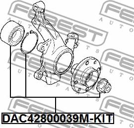 Febest DAC42800039M-KIT - Комплект подшипника ступицы колеса unicars.by