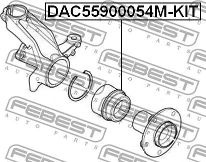 Febest DAC55900054M-KIT - Комплект подшипника ступицы колеса unicars.by