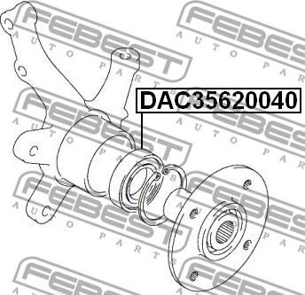 Febest DAC35620040 - Подшипник ступицы колеса unicars.by