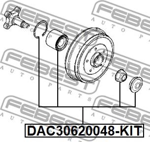 Febest DAC30620048-KIT - Комплект подшипника ступицы колеса unicars.by