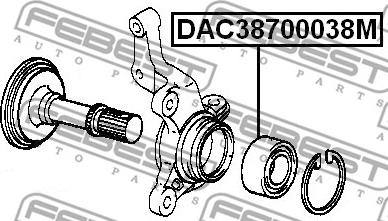 Febest DAC38700038M - Подшипник ступицы колеса unicars.by