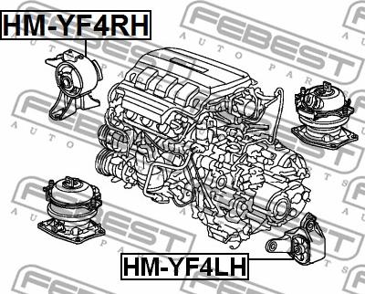 Febest HM-YF4RH - Подушка, опора, подвеска двигателя unicars.by