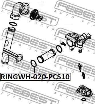 Febest RINGWH-020-PCS10 - Прокладка, фланец охлаждающей жидкости unicars.by