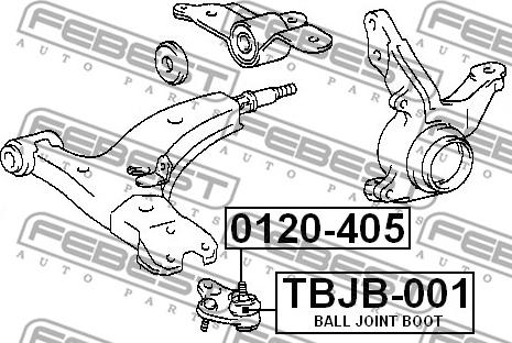 Febest TBJB-001 - Пыльник шаровой опоры unicars.by