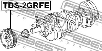 Febest TDS-2GRFE - Шкив коленчатого вала unicars.by