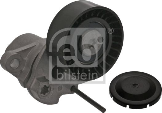 Febi Bilstein 100740 - Натяжитель, поликлиновый ремень unicars.by